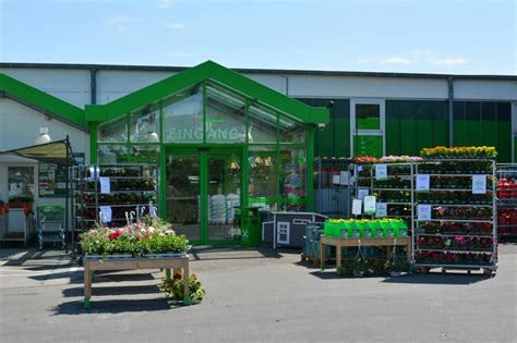 wyevale garden centre bury st edmunds suffolk